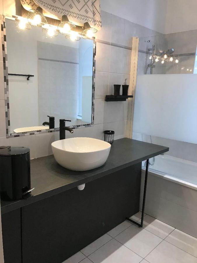 Bord De Tarn Apartment Albi